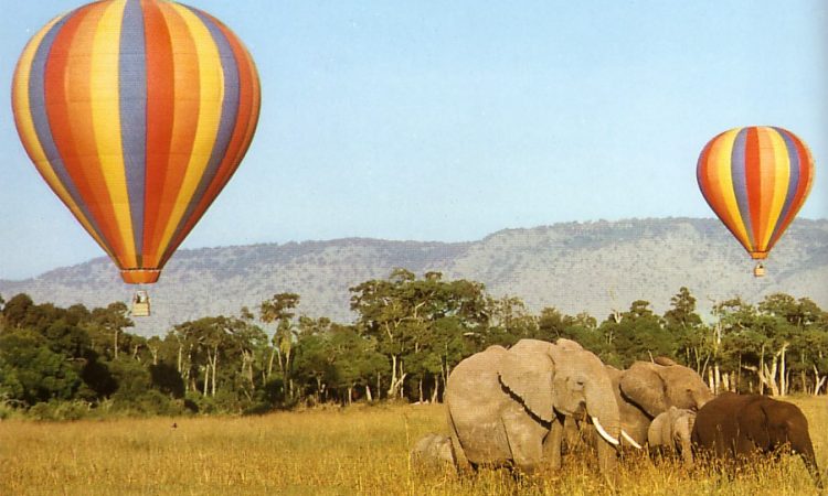 HotAir Balloon Uganda